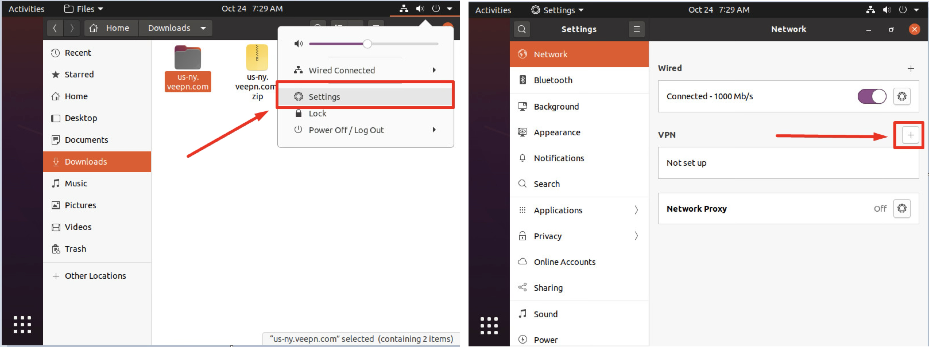 VeePN Configure OpenVPN