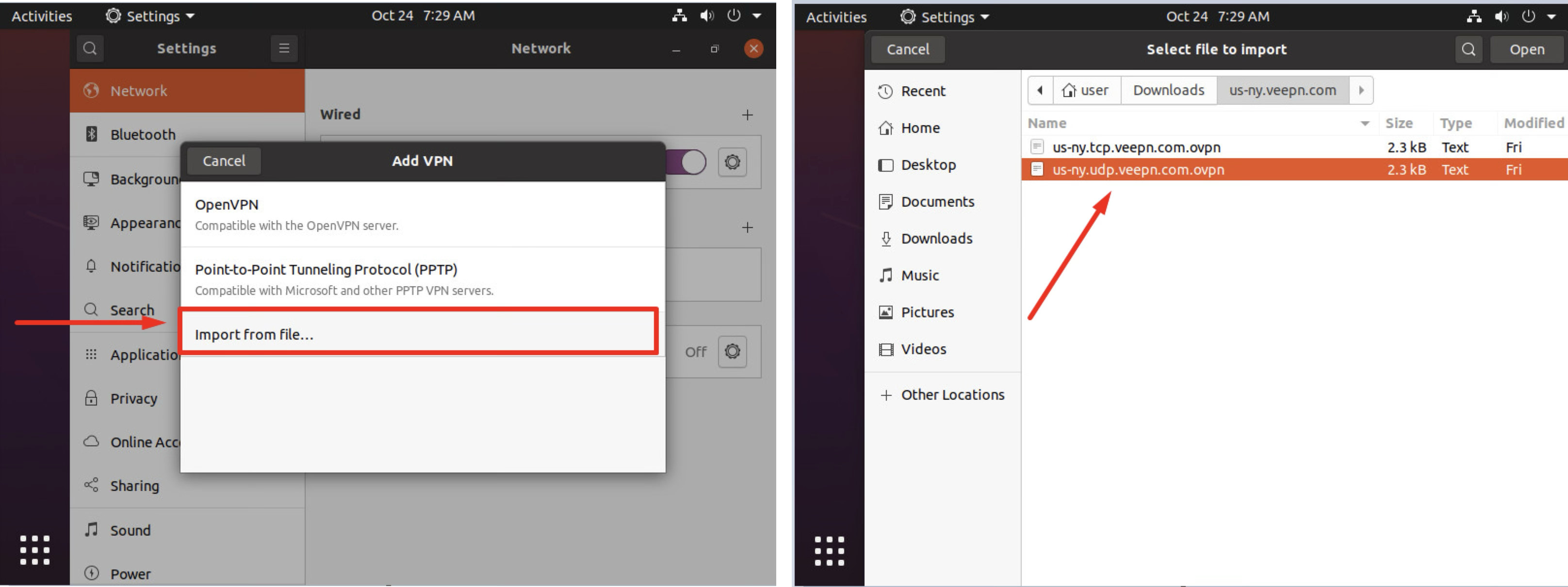 VeePN Configure OpenVPN