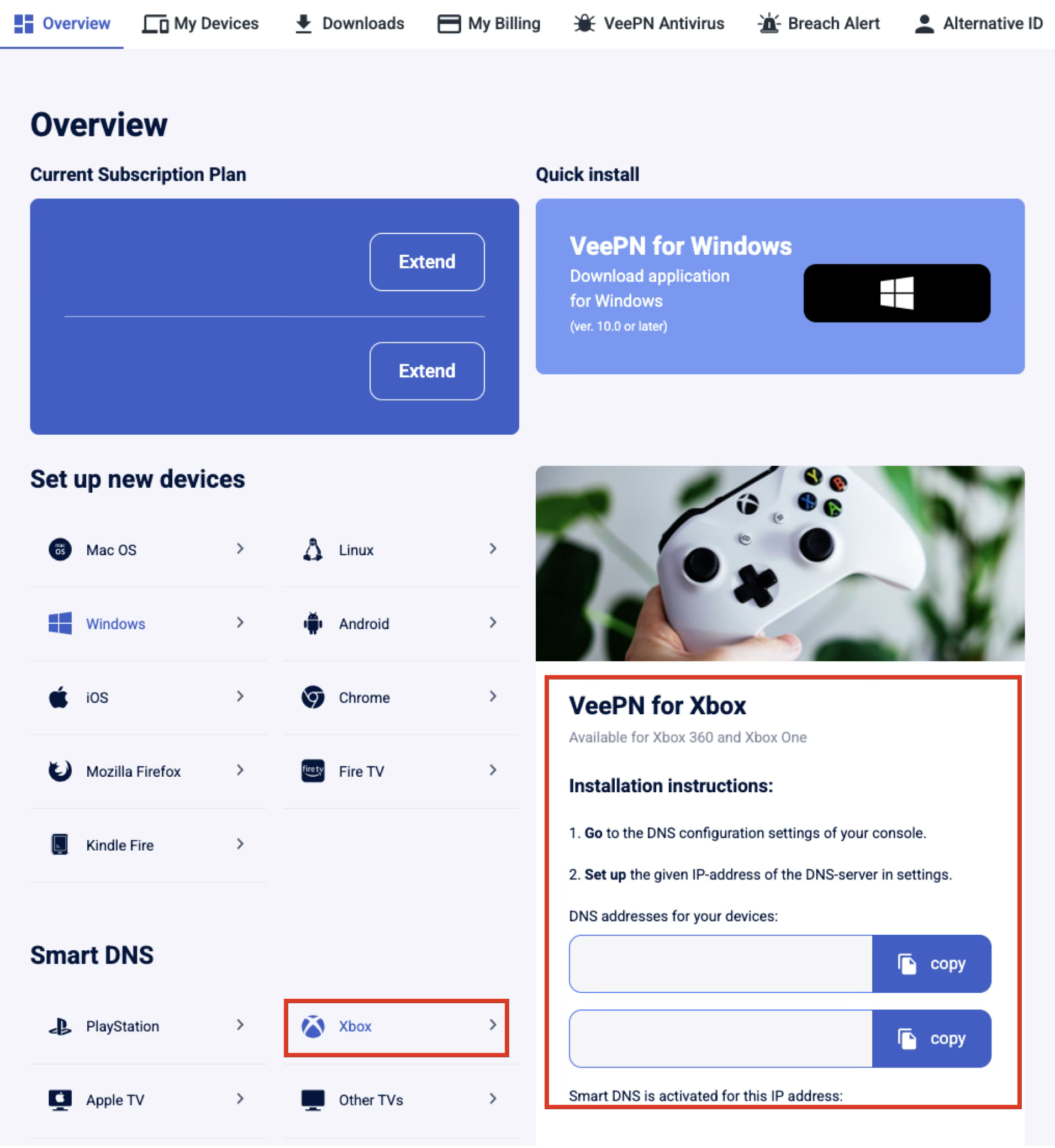 VeePN Smart DNS Setup