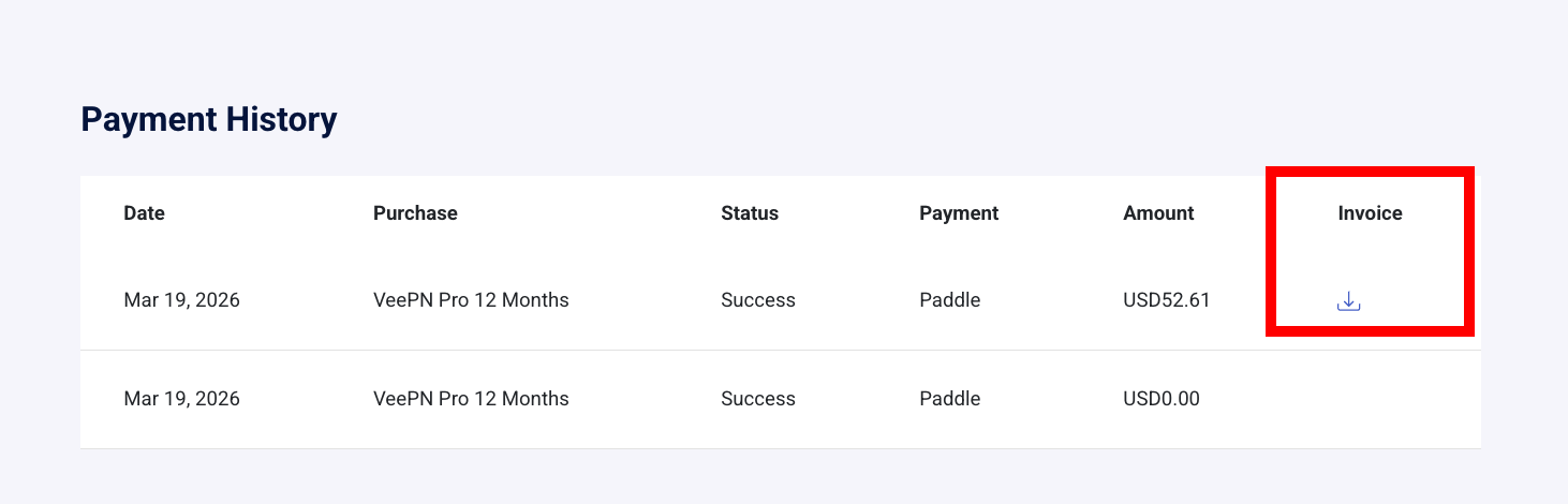 Example of the download button for the invoices in VeePN account.